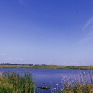 Meet your Posher, Bella